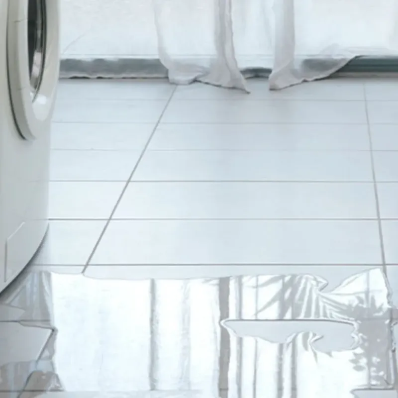 Appliance Leak Cleanup in Huntingtown, MD