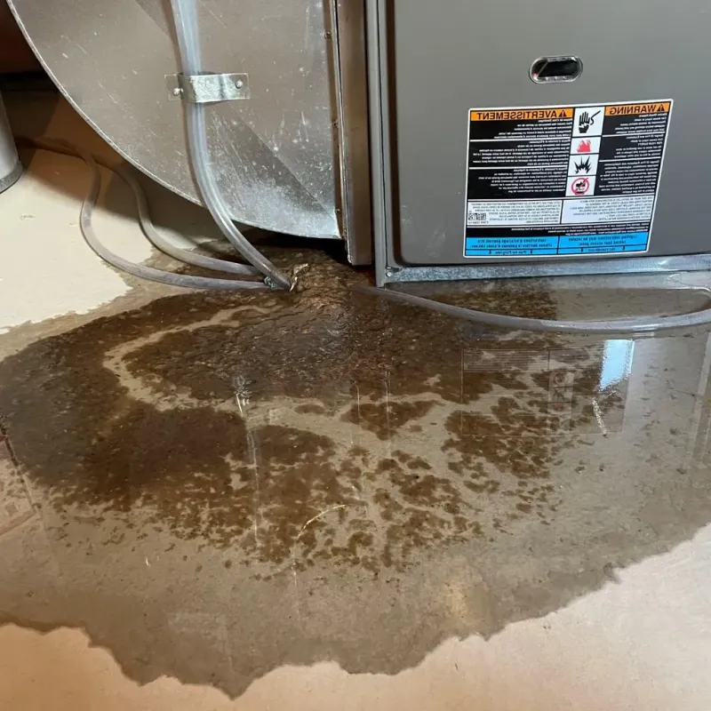 Pipe Burst and Leak Restoration in Huntingtown, MD