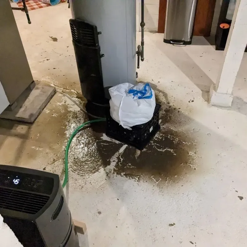 Sewage Backup Cleanup Service in Huntingtown, MD